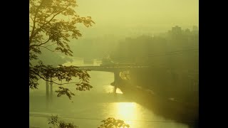 chongqing/avatar mountains