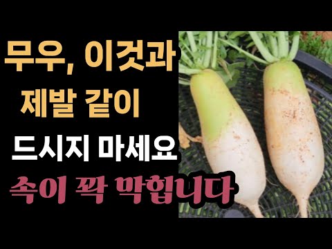 무우와 상극인 식품, 궁합이 맞는 식품