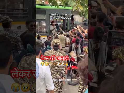 लेकर रहेंगे आज़ादी 😭🥹🐵🐻🐶🐶🙏|#savedogs #stop #saveanimals