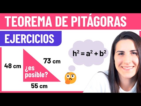TEOREMA DE PITÁGORAS 📐 Ejercicio de Geometría