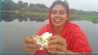 শাপলা ফুলের ভালবাসা দিয়ে শুরু করলাম আজকের বক্তব্য ময়না সুন্দরী Moyna sundory 