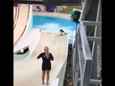 Utah Ski Big Air Jerr Swimming Pool