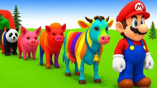 Long Slide Game with Cow Elephant Gorilla Hippopotamus Tiger 3d Animal Game Funny 3d Animals