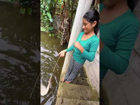 Vengan pescaditos vengan