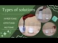 Understanding Solutions and Concentration