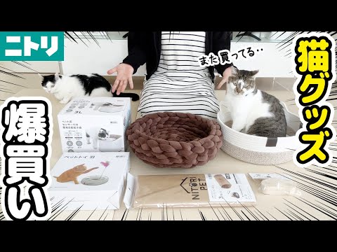 ニトリの猫グッズがセールで激安だったので爆買いしてみた