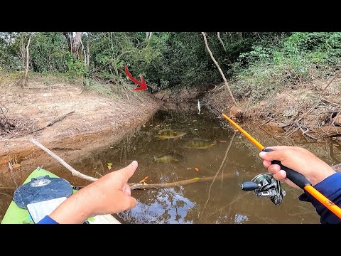 BOCA de CÓRREGO, Chega ASSUSTAR, Molinete GRITOU. Pescaria