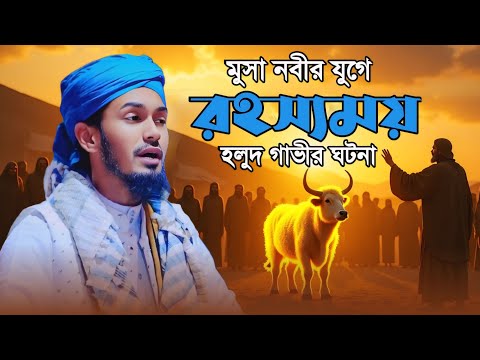 মুসা নবীর যুগে রহস্যময় হলুদ গাভীর ঘটনা । আব্দুল ওয়াদুদ সিদ্দিকী । Abdul wadudu Siddiki waz