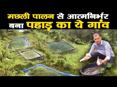 मछली पालन से आत्मनिर्भर बना पहाड़ का ये गांव | Fisheries | Uttarakhand   Bageshwar | Ramesh Bhatt