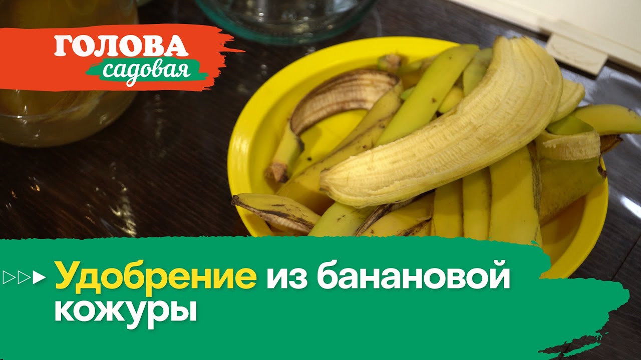 Удобрение из банановой кожуры