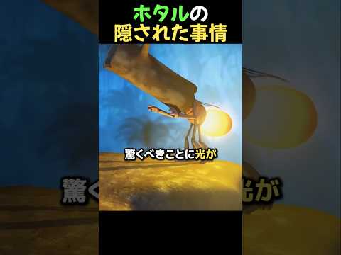 ホタルの隠された事情