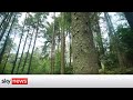 Impact of Climate Change on Wildlife