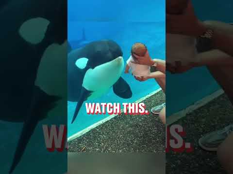 Phillies land All-Star closer Jhoan Duran ahead of MLB trade deadline đđ„ #JhoanDuran