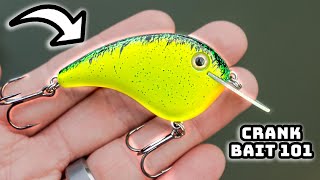 Learn To Fish A CRANKBAIT In 2025! (Bass Fishing Masterclass)