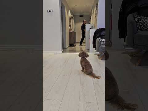 Evde ve Uzaktan eğitim ile Dünya'daki her eve giriyoruz. #shortsvideo #shortvideo #shorts #short