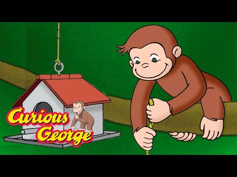 George and the Hungry Squirrel 🐵 Curious George 🐵 Kids Cartoon 🐵 Kids Movies