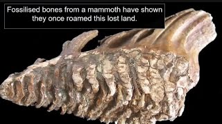 The Lost City Beneath the North Sea