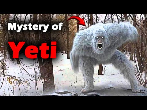 Were they Real Animals? | Revealing the Truth Behind the Yeti