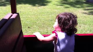 Riding train through the park near the Frank Buck Zoo