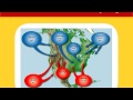 Exploring Air Masses and Fronts