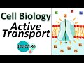Cell Membrane and Transport Mechanisms