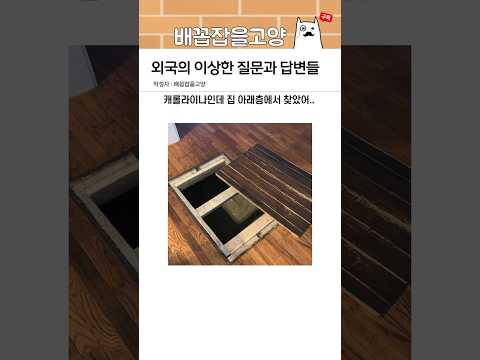 외국의 이상한 질문과 답변들 66탄