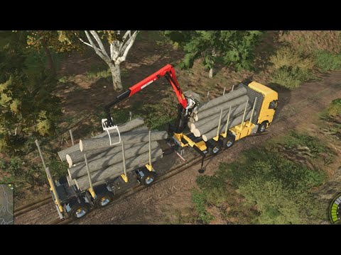 Farming Simulator 25 Forest