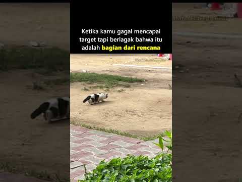 Ternyata rencananya emang bgitu🤗😂😂