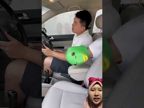 ADA YANG SUKA DUDUK DI DEPAN JUGA⁉️ #automobile #goodthing #funny #cute  #comedy