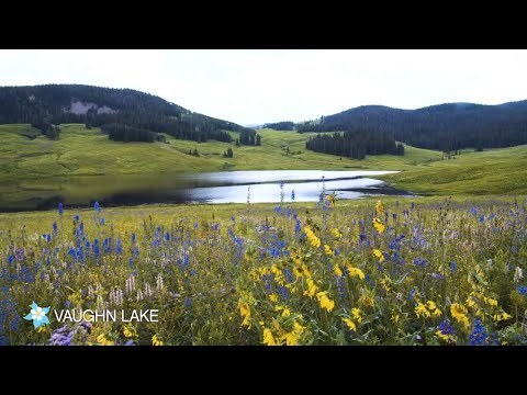 Colorado’s Flat Tops Trail Scenic Byway