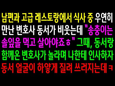 (반전사연)남편과 고급 레스토랑에서 식사중 우연히 만난 변호사 동서가 비웃는데..동서랑 함께온 변호사가 놀라며 나한테 인사하자 동서 얼굴이 하얗게[신청사연][사이다썰][사연라디오]