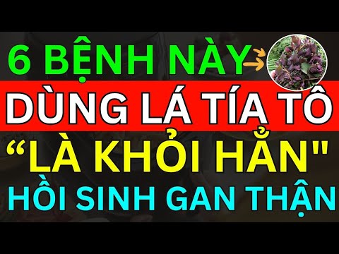 Bác Sĩ Mách Mắc 6 BỆNH NGUY HIỂM NÀY Chỉ Cần Dùng NẮM LÁ TÍA TÔ Là "KHỎI HẲN" Gan Thận Sạch Khoẻ