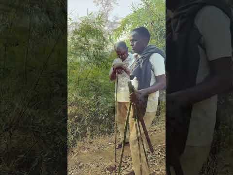 Forest tracking 3km episode - 60