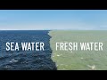 Mixing of Freshwater and Seawater