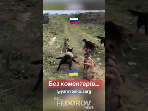 https://youtu.be/87dcypYUW0s?si=-djpXpoHoMQp19uy #андрейфедоровголосадуши #fedorovrealnews