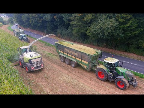 Mais 2024 : Claas Jaguar 990 | Fendt 942 | Black Beauty 724 | Jumpers  maisernte | mais harvest | 4K