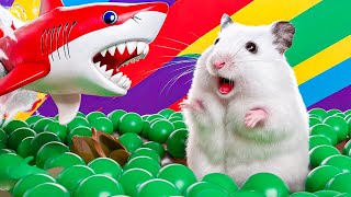 Hamster Maze Adventure: Live Escape from the Craziest Labyrinth Yet
