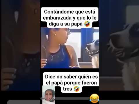 Que tal Firulais contando un chisme jajaja 🤣#humor #funny  #fypシ゚ #fy #comedy #viralvideo #shorts