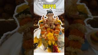 Ganpati Bappa Morya 🌸🙏Mini Vlog