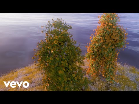HUMBE - TU VALOR (Lyric Video)