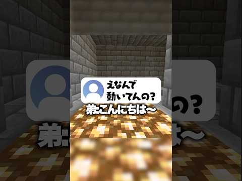 7年会ってない弟が勝手に配信してるんだが #マイクラ
