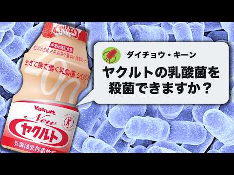 ヤクルトの生きた乳酸菌を殺菌してみた / 無菌の乳酸菌飲料が飲みたい！