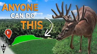 Food Plots Anyone Can Do, A Full Breakdown On Cost Saving Methods | Midwest Whitetail