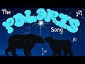 Polaris: Characteristics and Navigation