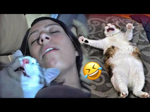 The Funniest Animal Moments Caught On Camera 🤣 I love jokes