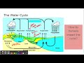 Exploring Biogeochemical Cycles