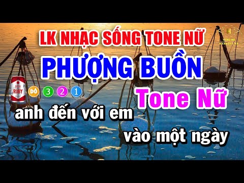 Karaoke Liên Khúc Nhạc Trữ Tình Bolero Tone Nữ | Phượng Buồn – Tuổi Nàng 15