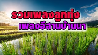 รวมเพลงลูกทุ่ง เพลงอีสานบ้านนาฟังเพราะมากๆ