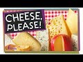 Understanding Swiss Cheese