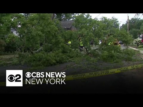 YouTube video thumbnail: 2 People Seriously Hurt by Falling Tree Limb in New Jersey